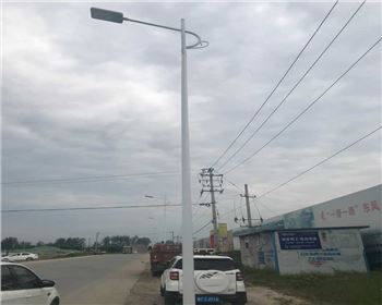寧夏漢中市城固縣上元觀街道路燈照明項(xiàng)目